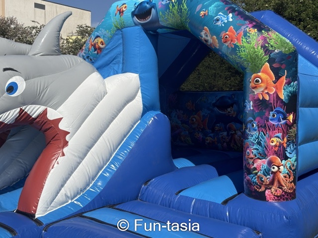 Any 18ft x 15ft Boys Themed Bouncy Castle with Slide, Air Juggler Ball ...